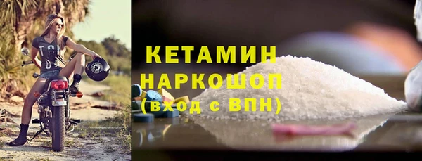 стафф Новозыбков