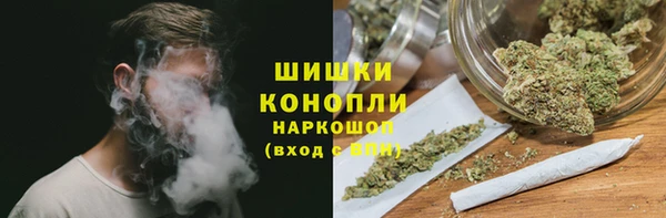 стафф Новозыбков