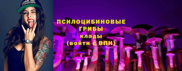 ALPHA-PVP Нязепетровск
