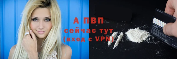 бошки Няндома