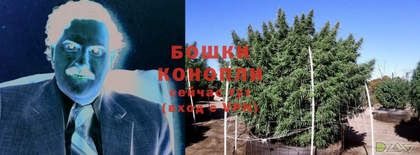 стафф Новозыбков