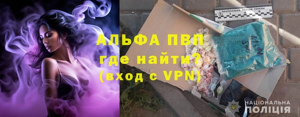 стафф Новозыбков
