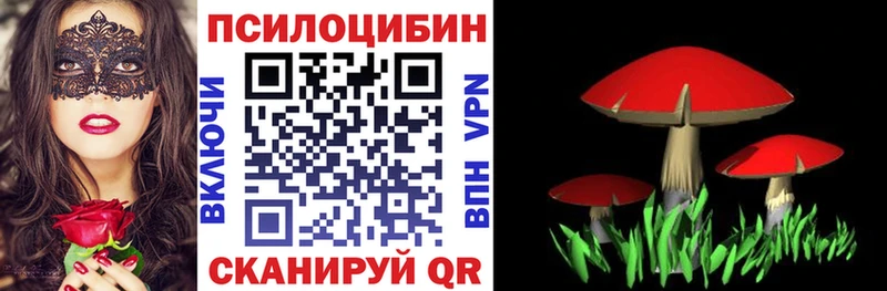 купить наркоту  Бирюч  гидра онион  Галлюциногенные грибы ЛСД 